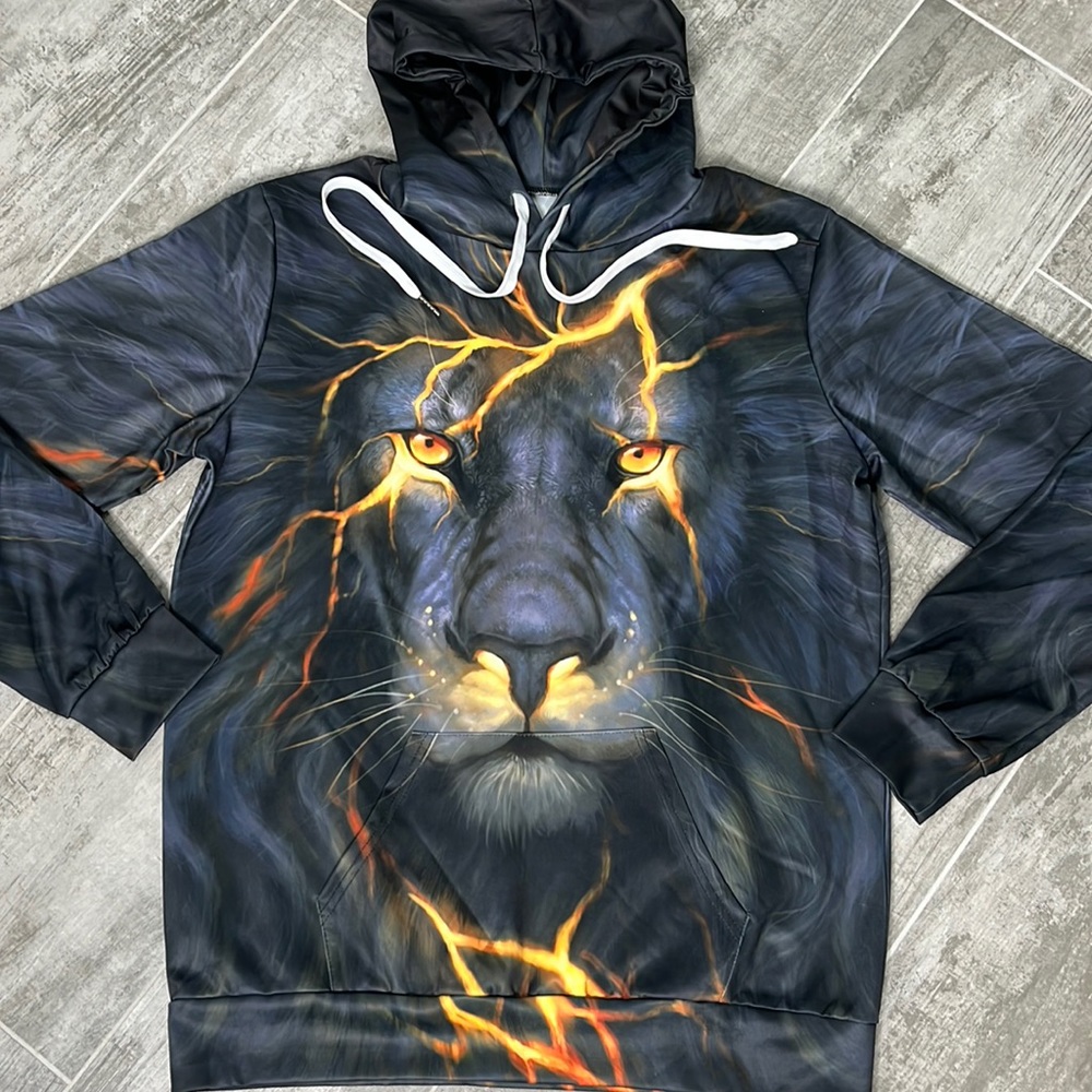 Boys Graphic Long Sleeve Lion Hoodie
